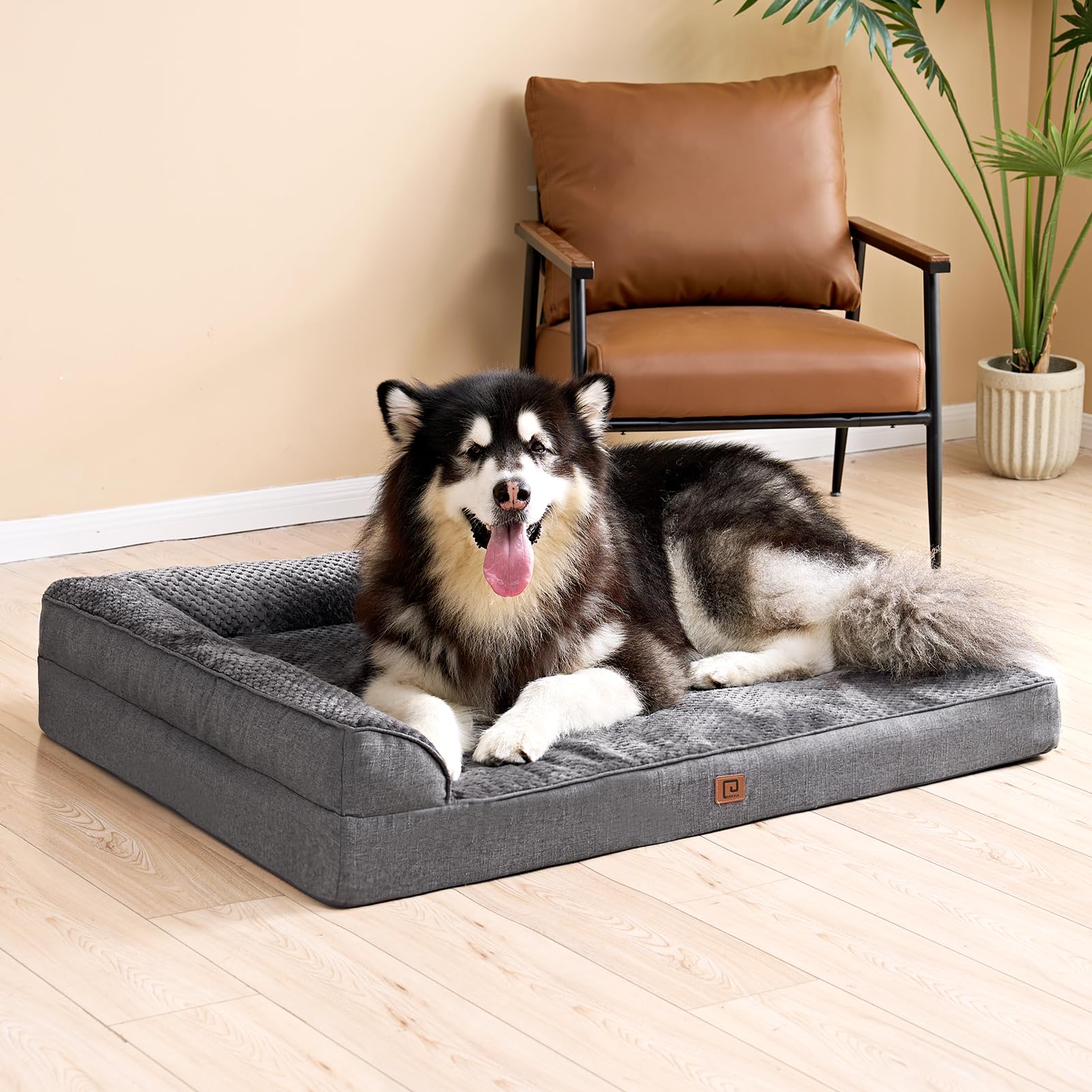EHEYCIGA elder dog comfort and support for joints
