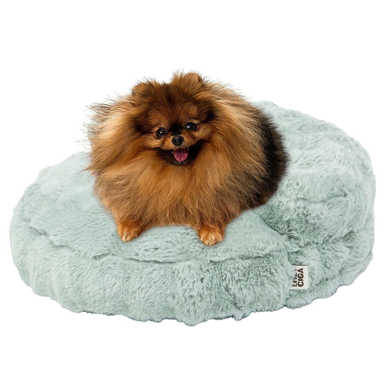 EHEYCIGA extra small dog bed front view with plush sage green fur for cozy naps