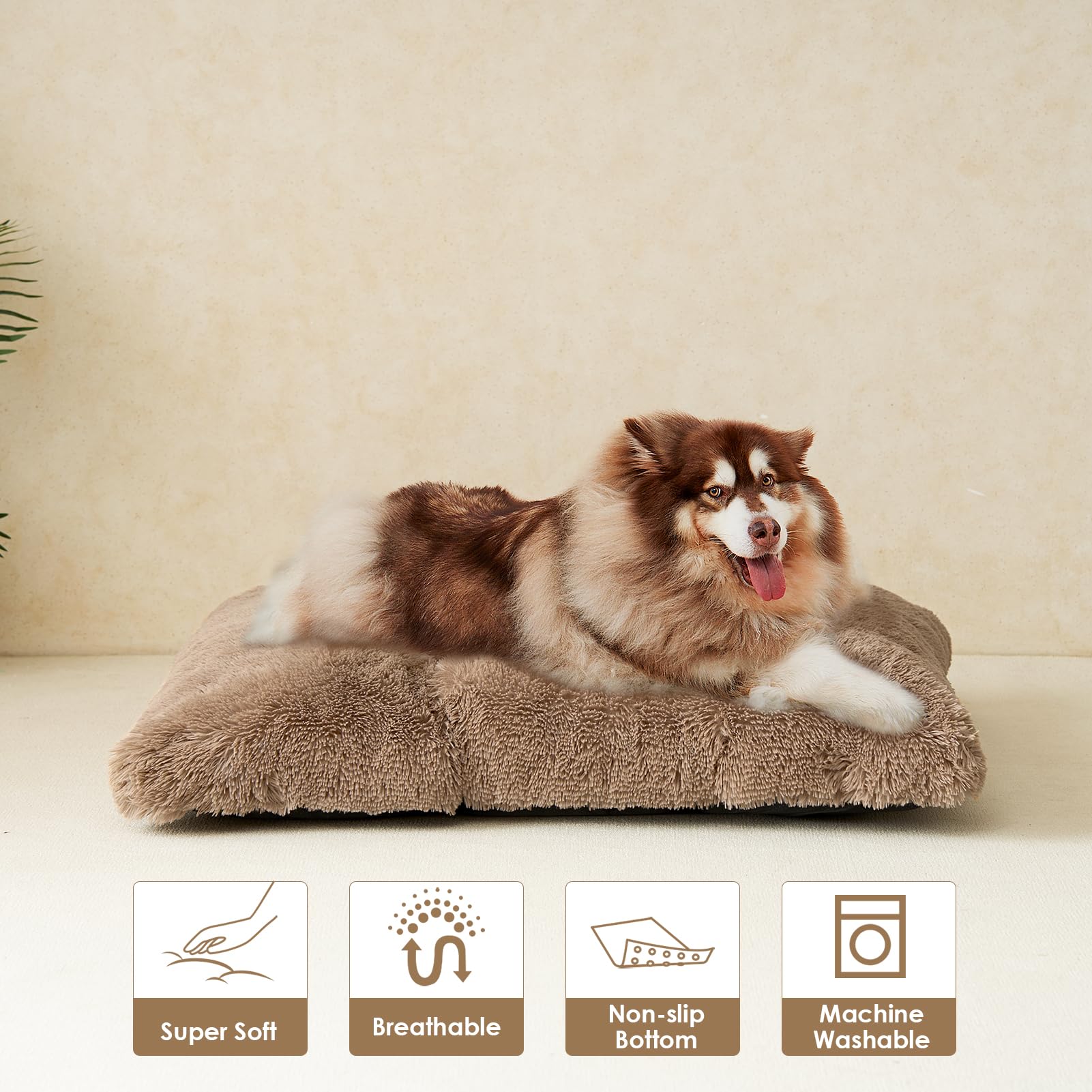 EHEYCIGA Fluffy XXL size options preview for multiple breeds