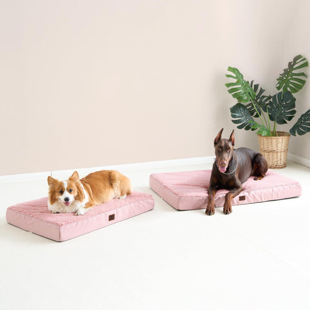 EHEYCIGA kennel scene shows bed fitting crates for versatile placement
