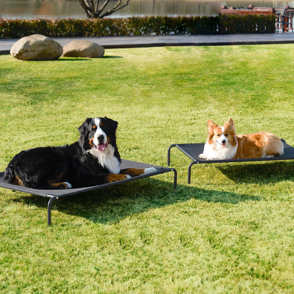 EHEYCIGA supports dogs between 35 and 125 lbs with reliable distribution.