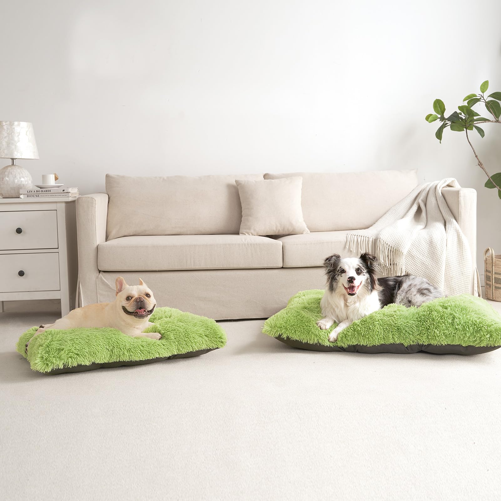 EHEYCIGA large medium-sized bed gives dogs room to stretch.