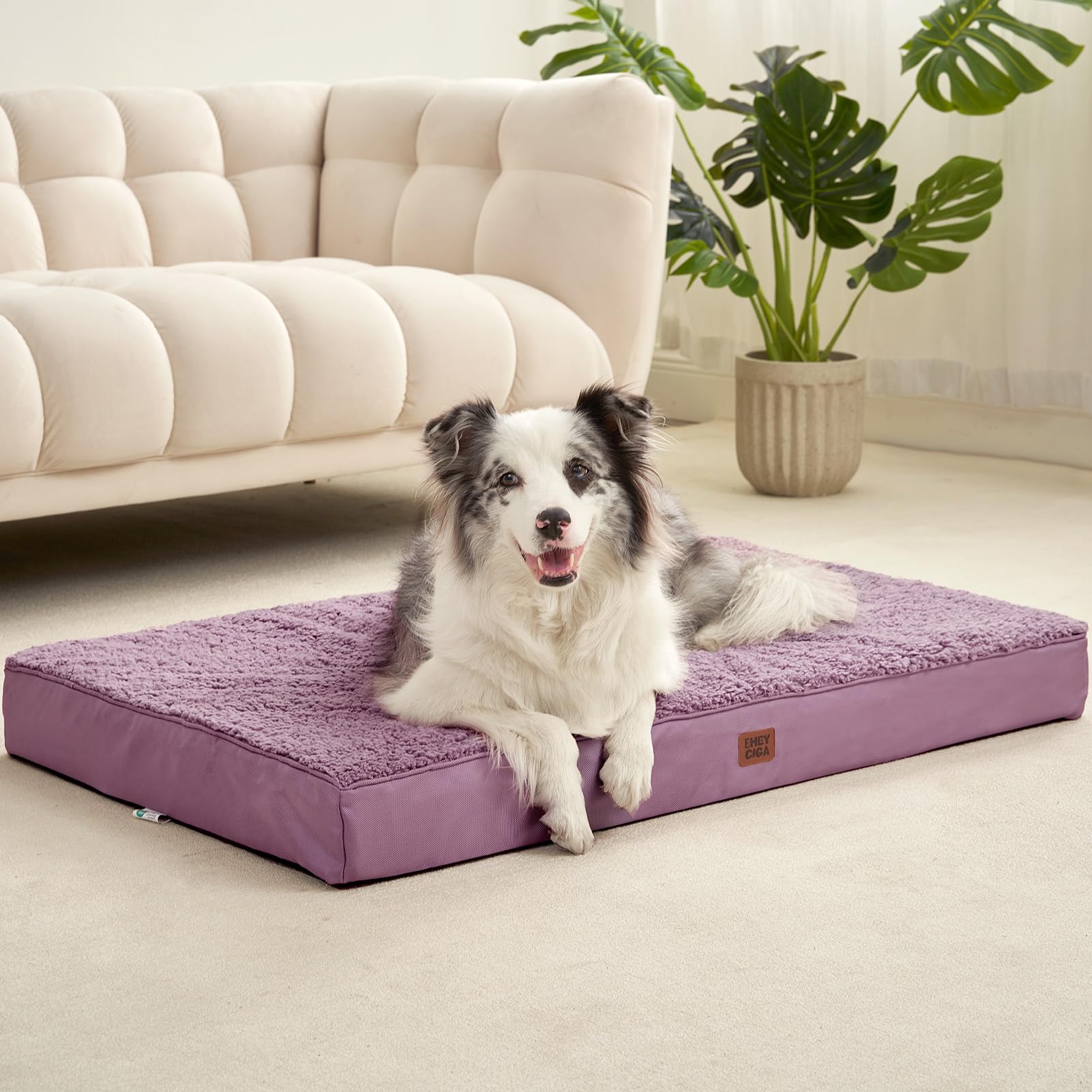 EHEYCIGA plush sherpa top adds softness and warmth.
