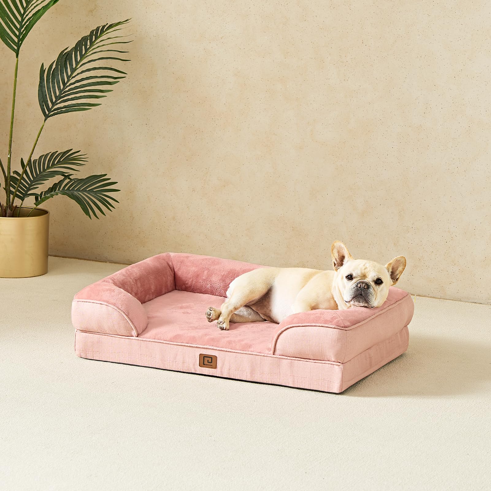 EHEYCIGA size options demo for medium large and extra-large dogs