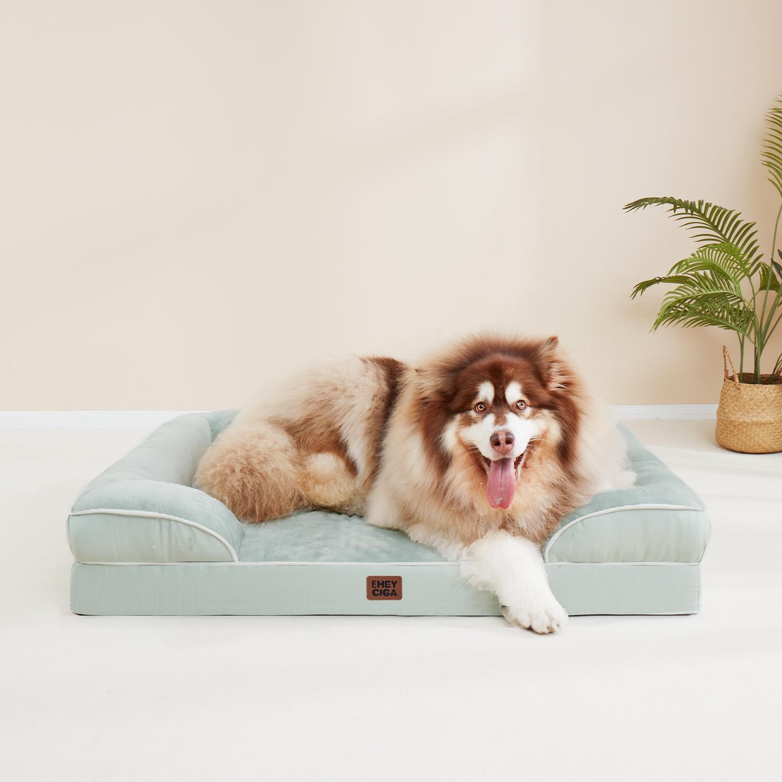EHEYCIGA oversized-structure accommodates extra large dogs comfortably.