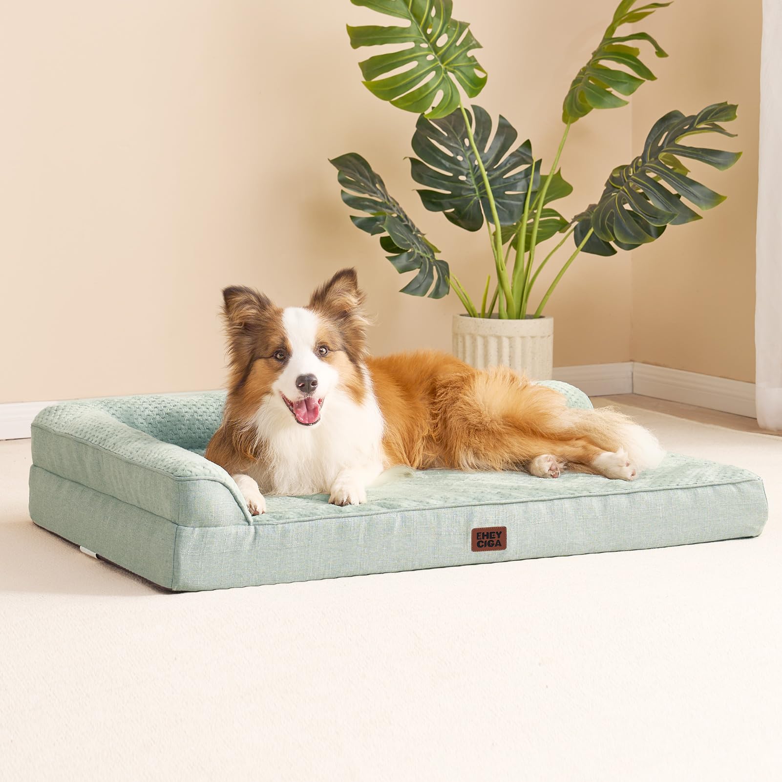 EHEYCIGA pet couch in-room setup demonstrates daytime lounging and restful napping space.