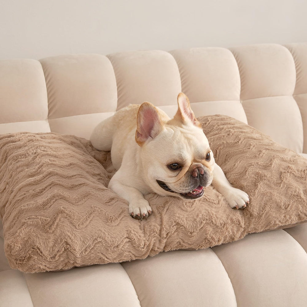 EHEYCIGA fluffy return-to-plush use after airing enhances comfort for dogs and cats.