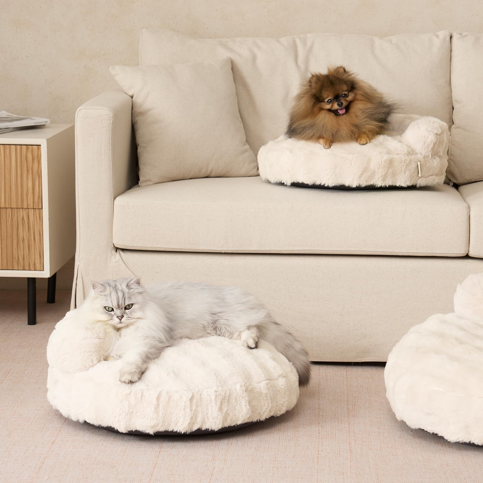 EHEYCIGA-room-decor-integration blends with décor while offering a cozy retreat