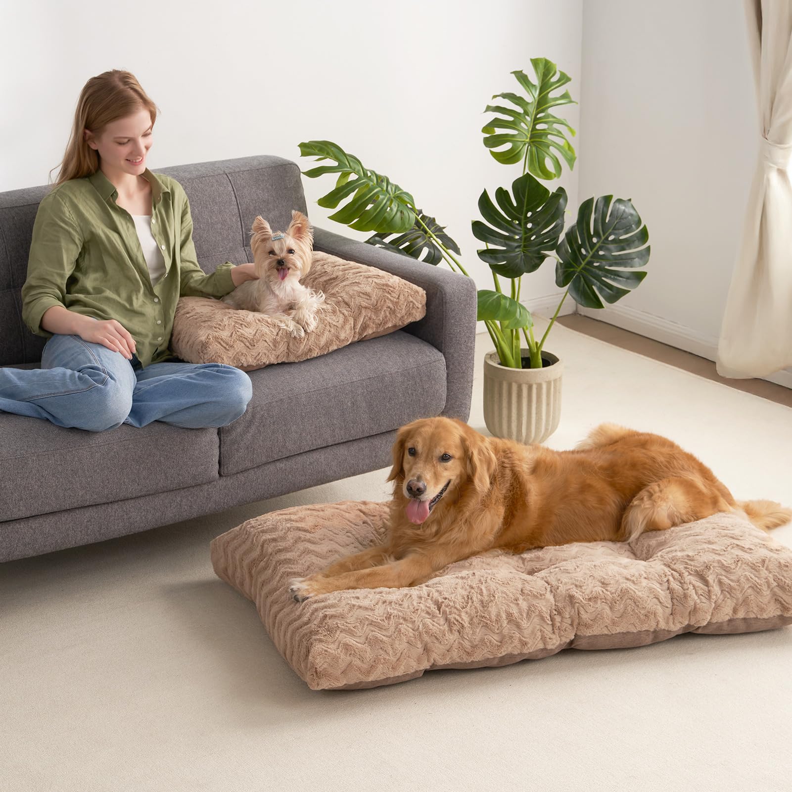 EHEYCIGA vacuum-packaged bed fluff restores after unboxing.