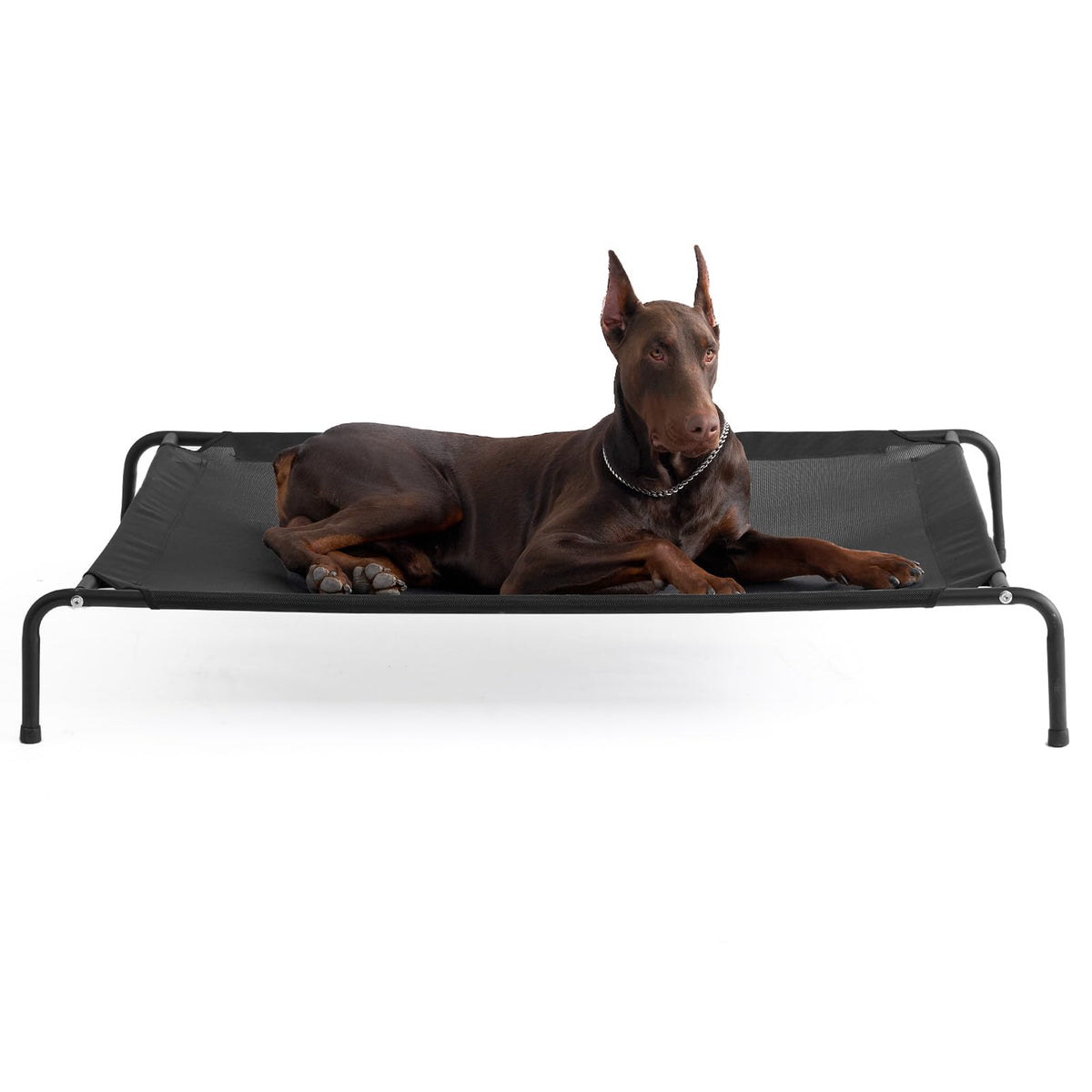 EHEYCIGA XXL frame shows sturdy support for giant dogs lounging