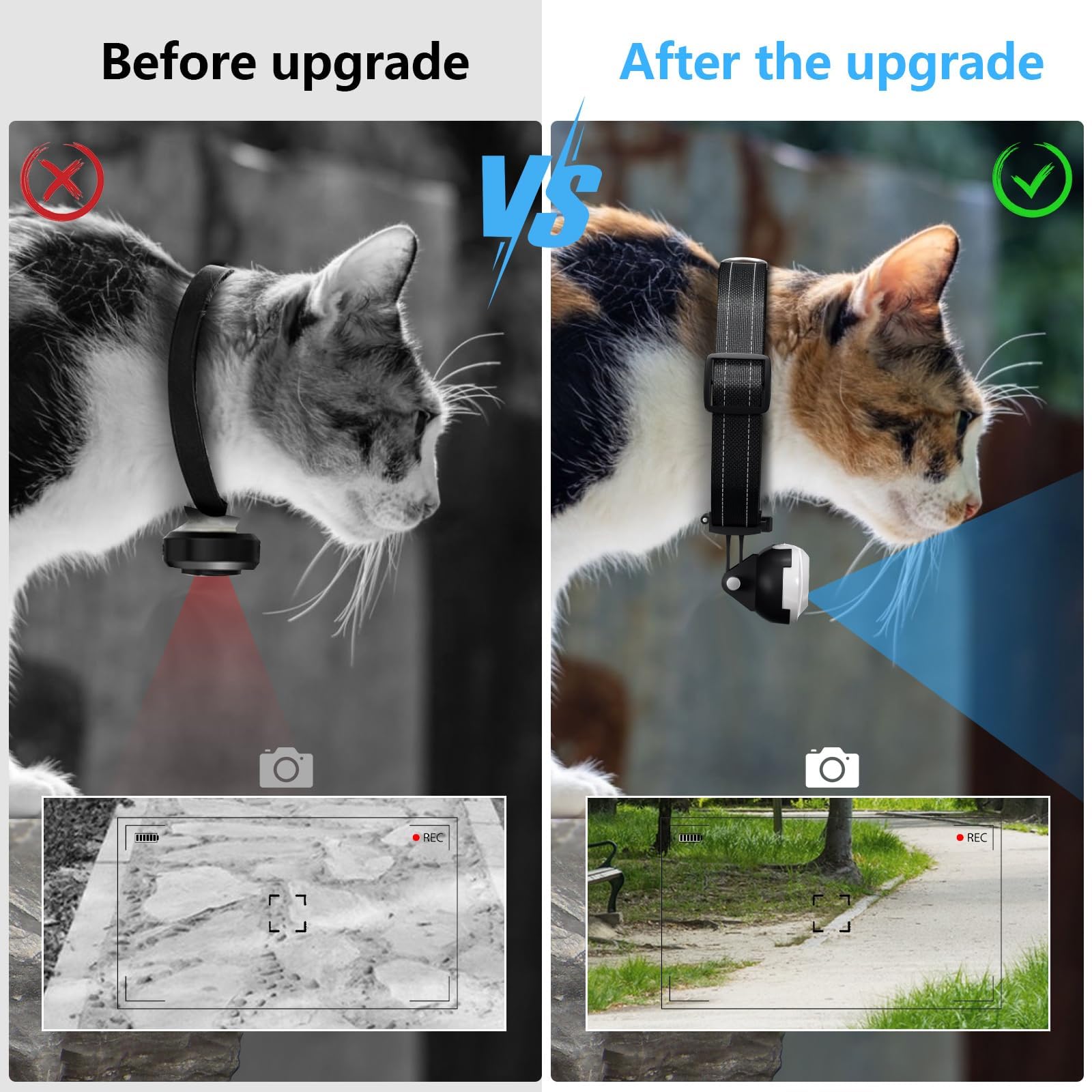 ehomful lightweight action camera at 30fps records smooth pet adventures.