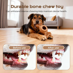 EHWZ Freeze Bone dog toy dishwasher-safe image highlights easy cleanup