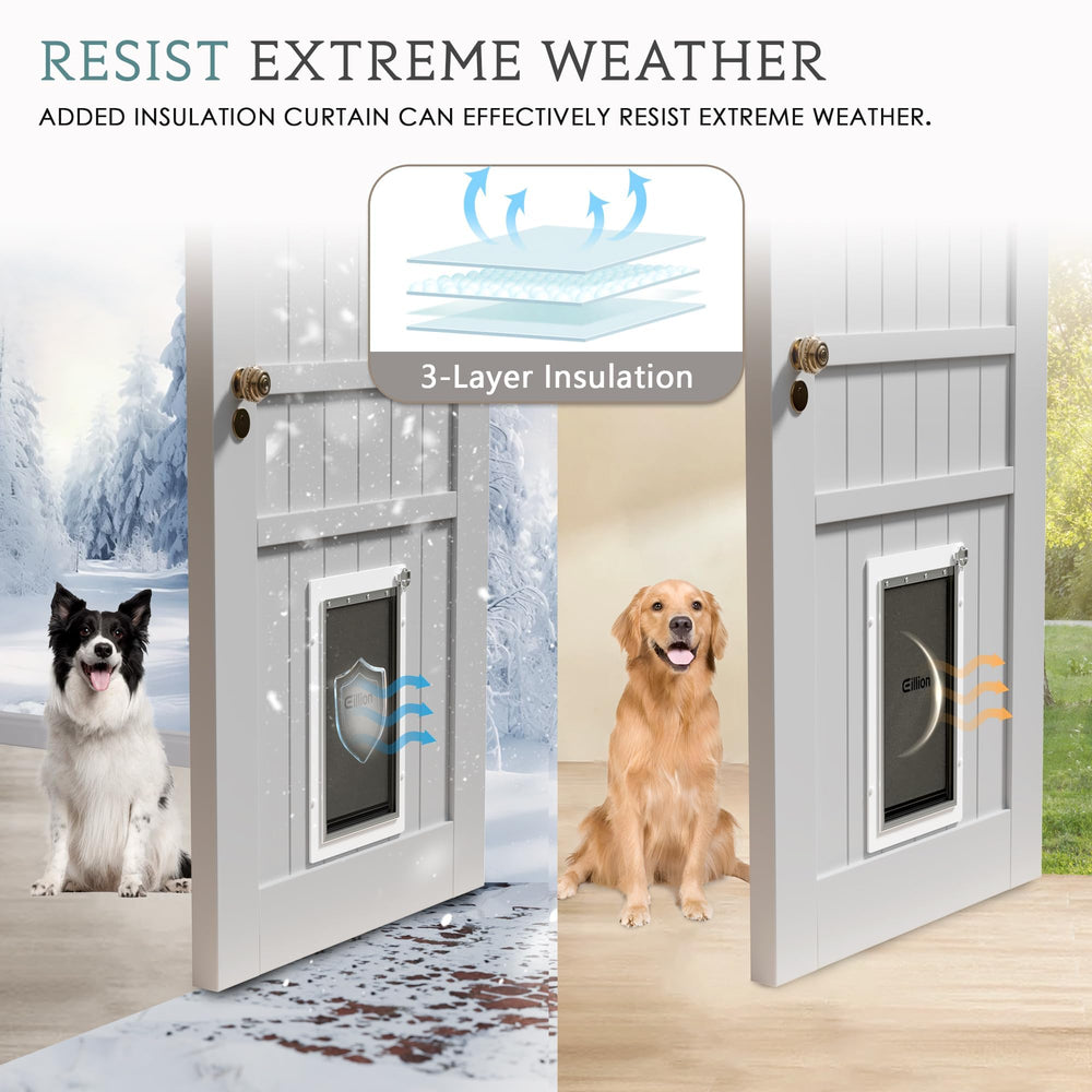 Eillion locking panel demonstrates controlled access for pet safety and convenience.