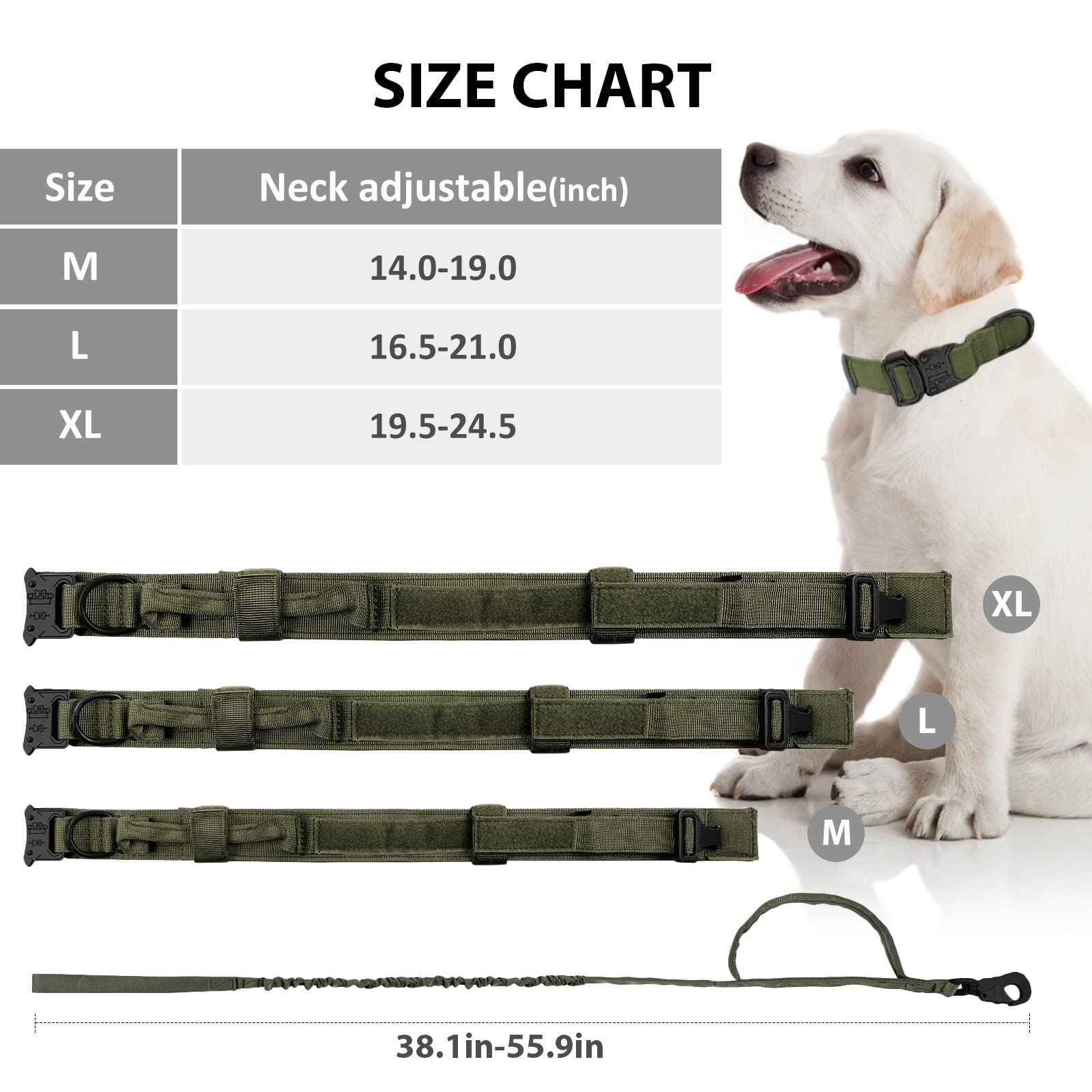 Eitchen Tactical dog collar metal buckle focuses on double security with quick-release durability.