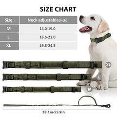 Eitchen Tactical dog collar metal buckle focuses on double security with quick-release durability.