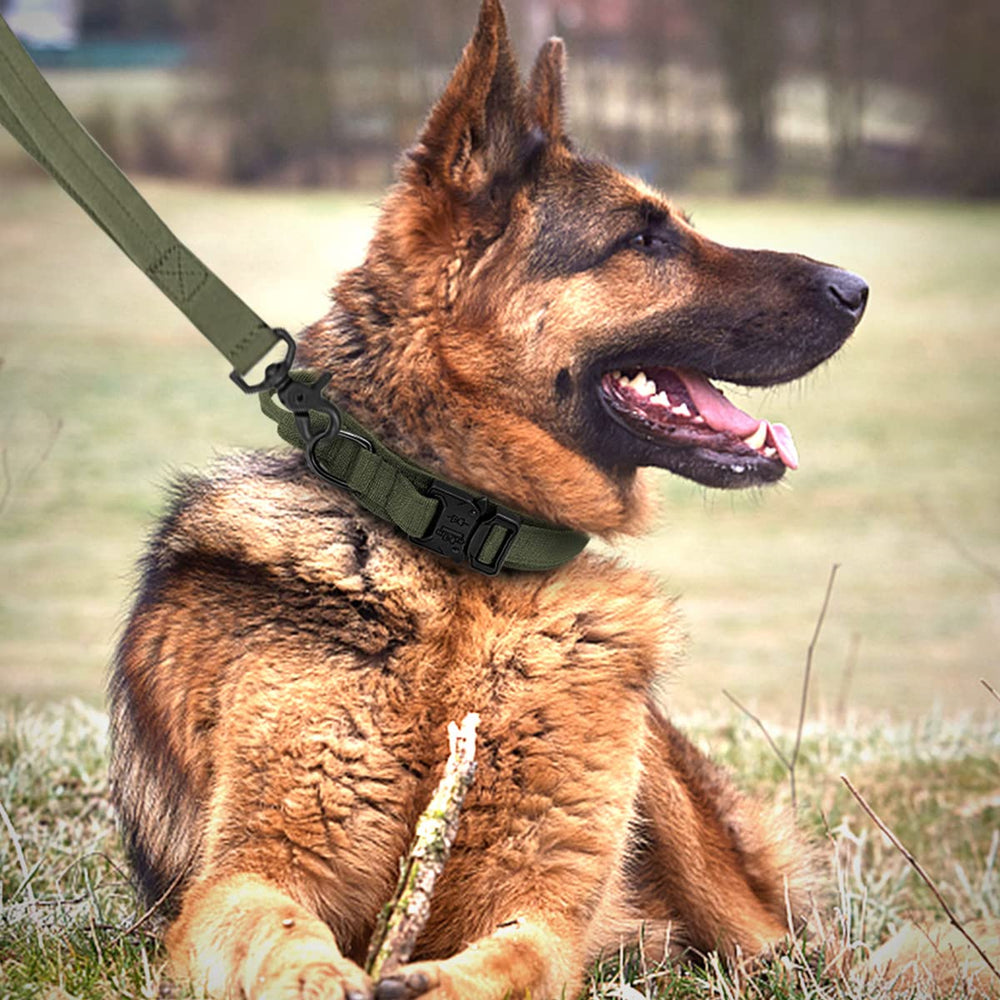 Eitchen Tactical dog collar handle grip image demonstrates quick, secure control during training or patrols.