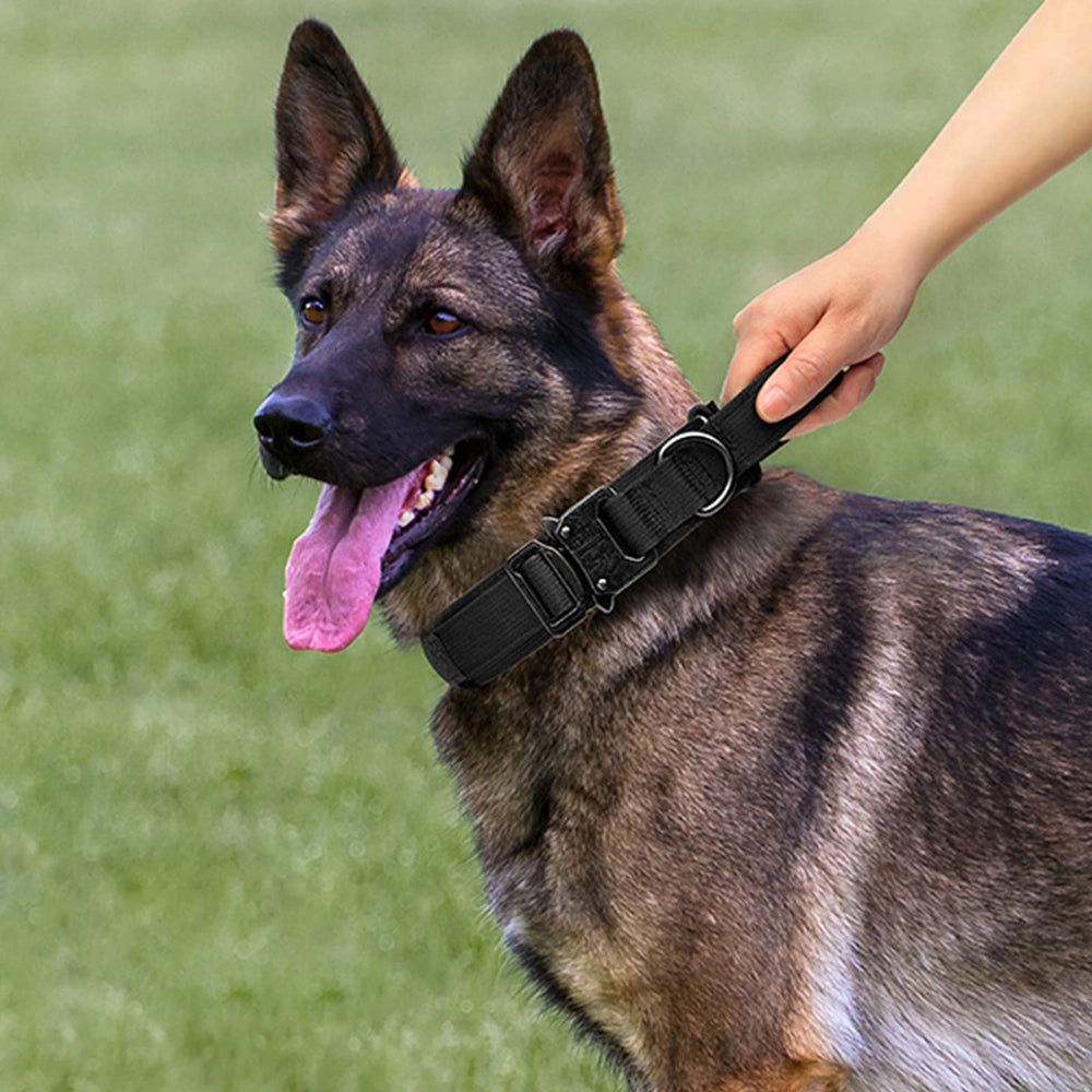 Eitchen tactical leash extended: elastic buffer for quick direction changes.