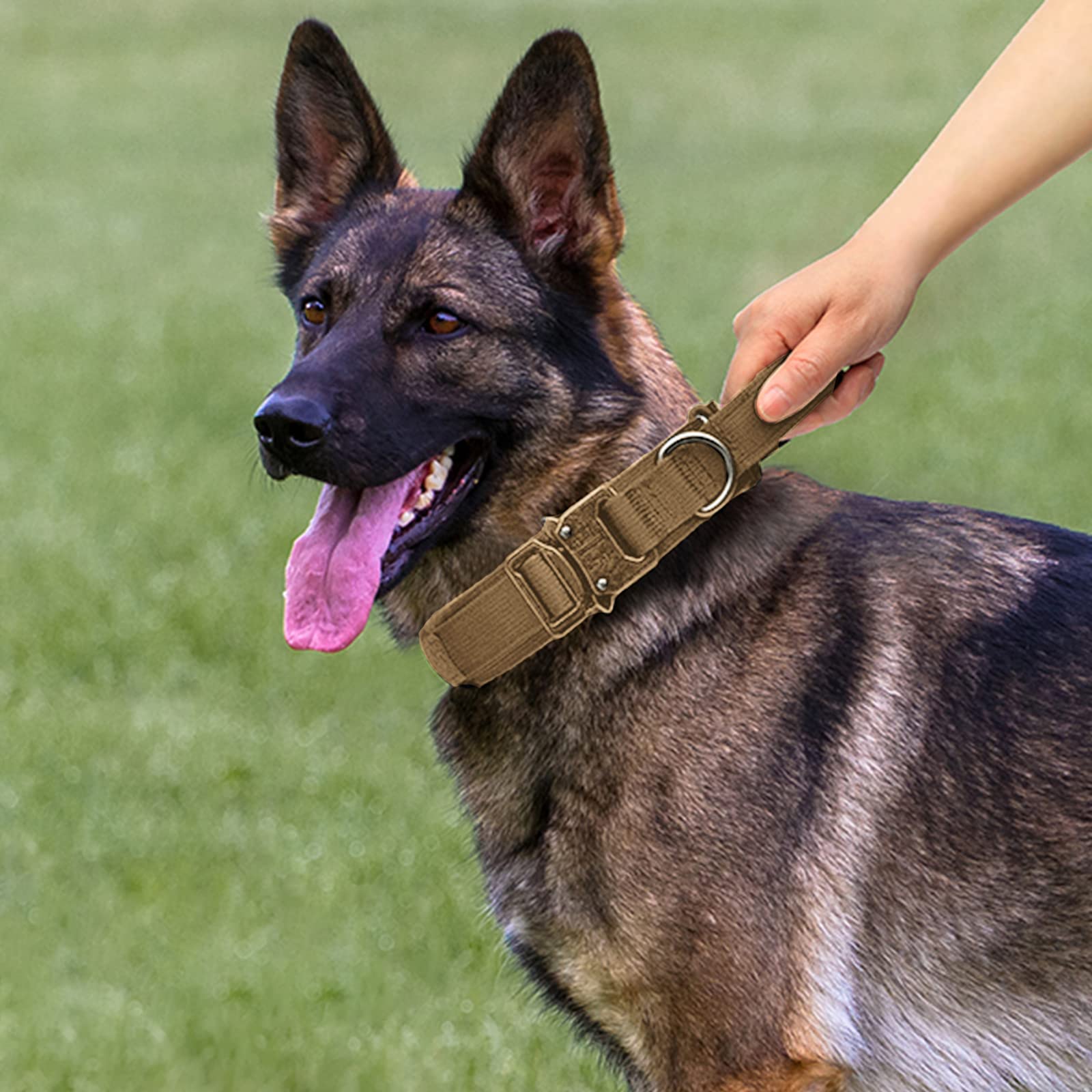 Eitchen Tactical Dog Leash extended view showing elastic buffer for sudden dog movements.