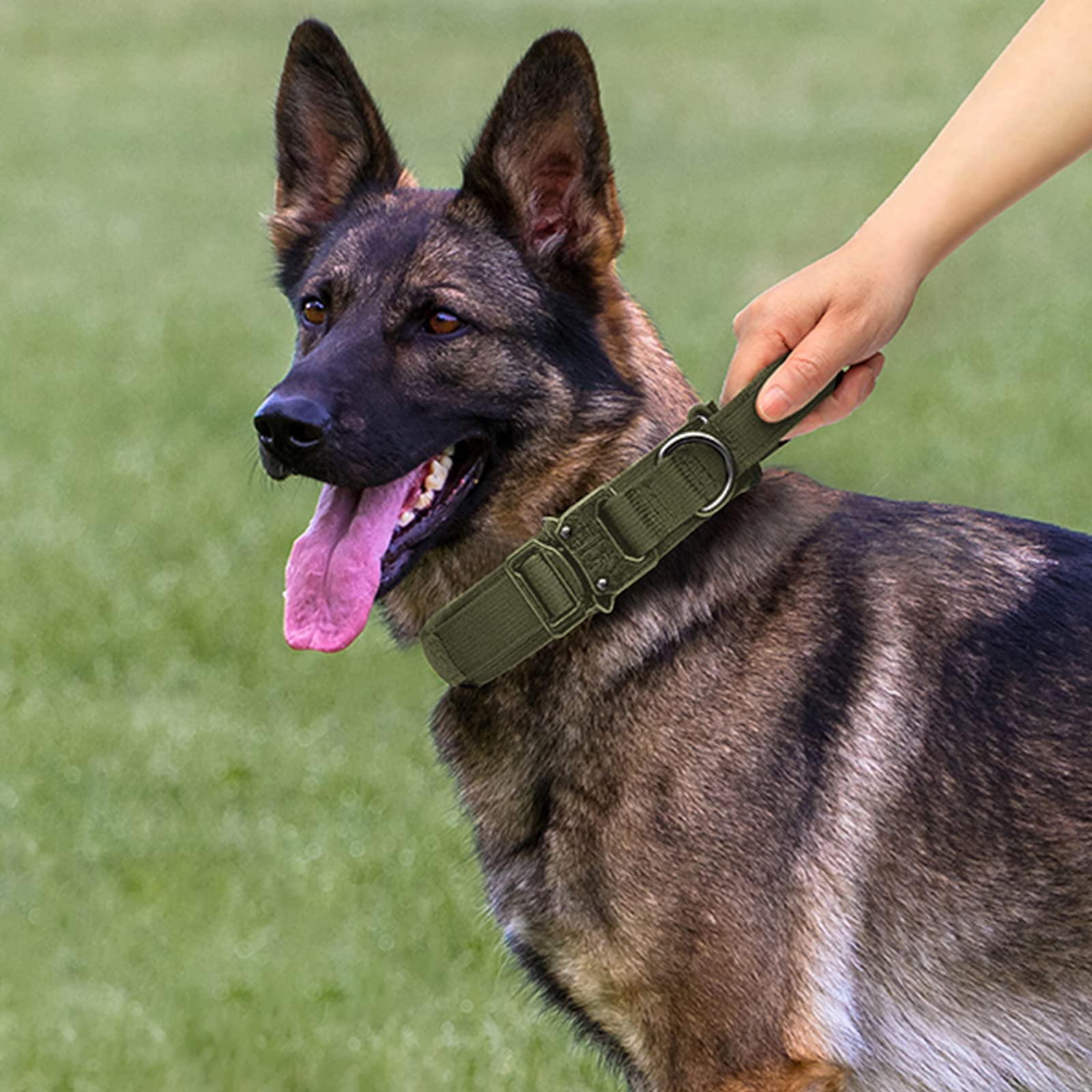 Eitchen Tactical dog leash extended shows flexible length for safer roaming and controlled movements.