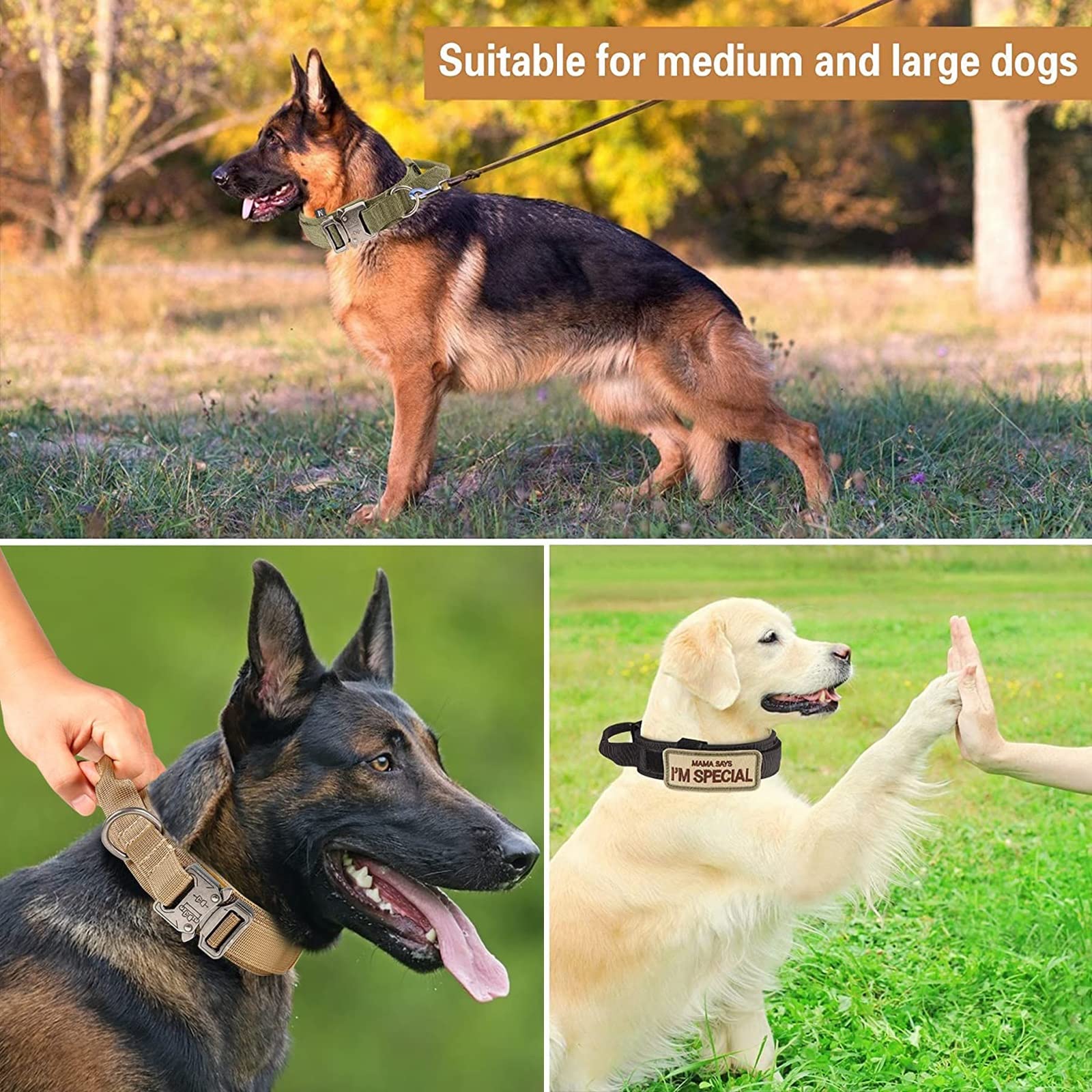 Eitchen Tactical Dog Leash extension view showing 55.9-inch reach for versatile control.
