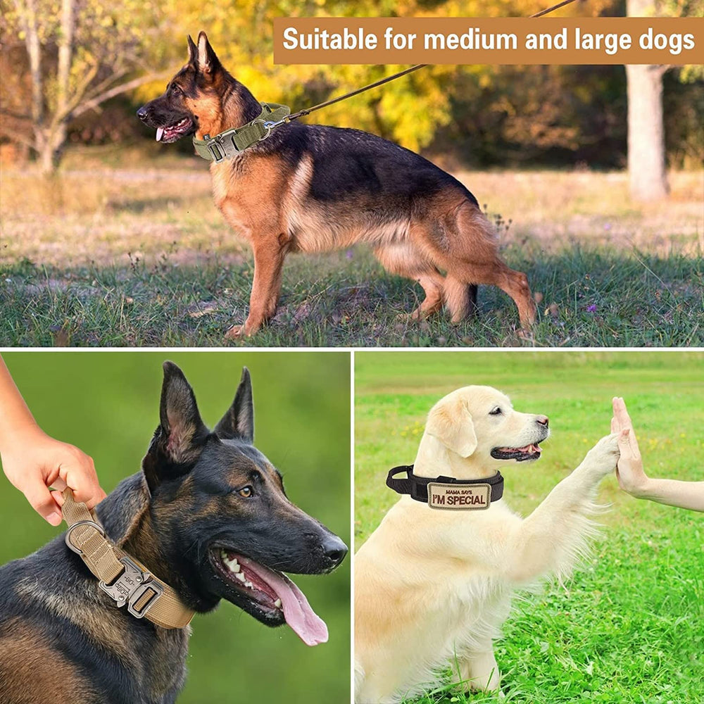 Eitchen Tactical dog set packaging shows all components and ready-to-use convenience.