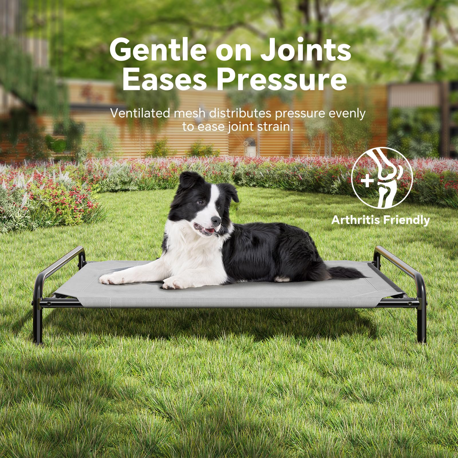Ekisemio raised dog bed easy to assemble with two-person step.