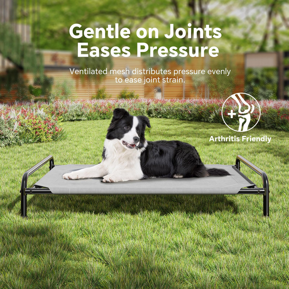 Ekisemio raised dog bed easy to assemble with two-person step.