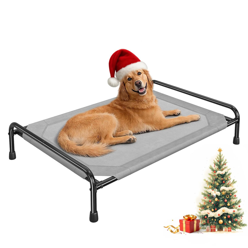 Ekisemio elevated dog bed with large dog resting for comfort and support.