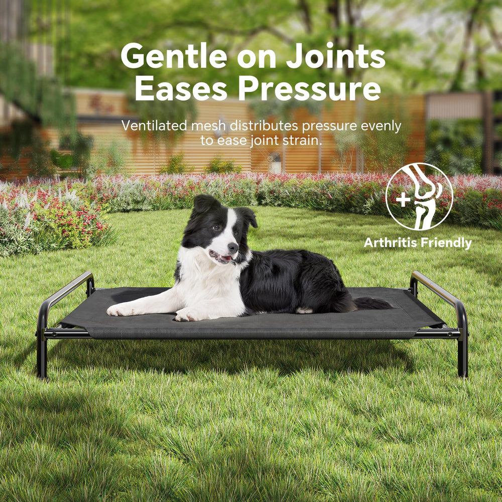 Ekisemio elevated dogs bed black finish blends elegantly with home décor