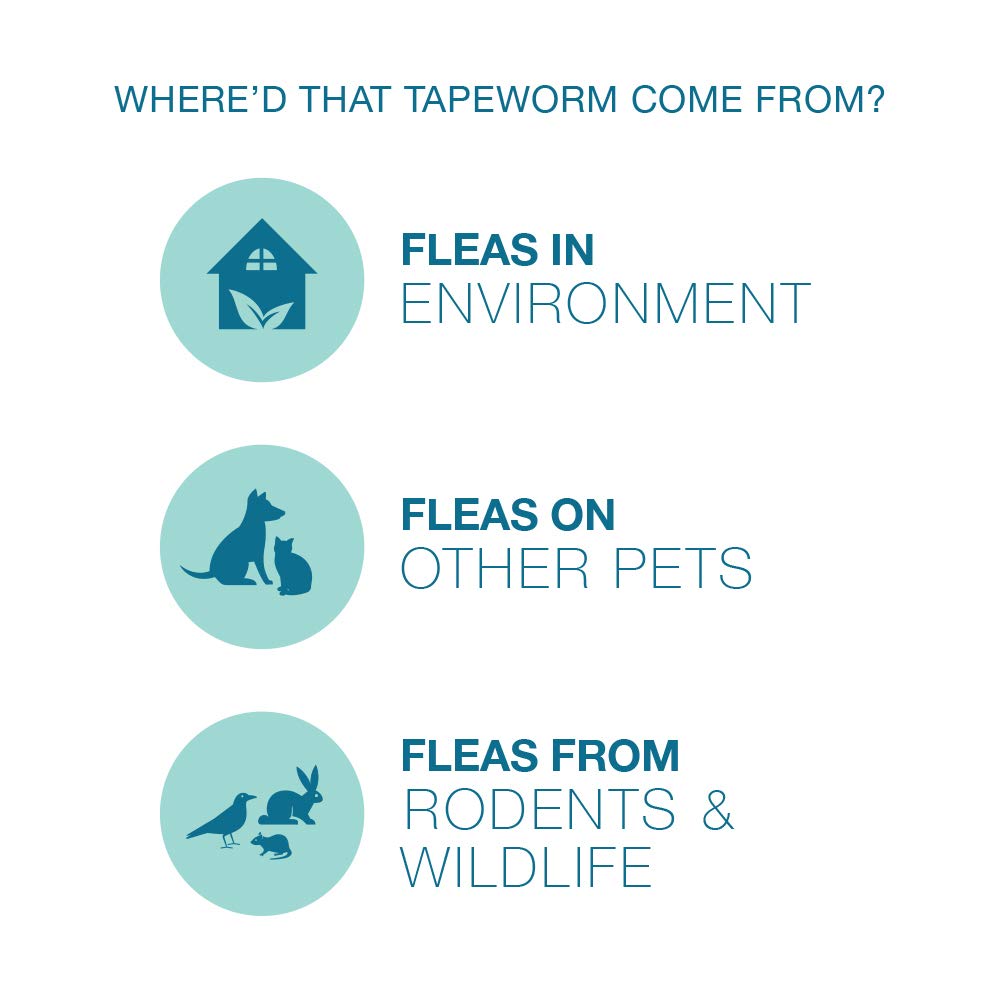 Elanco Tapeworm Dewormer tablets-in-food for easy dosing