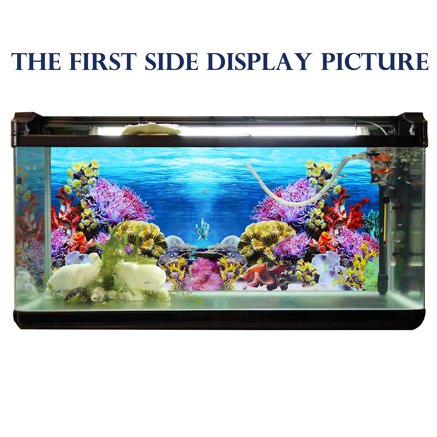 ELEBOX 20x48 back water-plants vibrant colors enhance viewing of inhabitants and scenery.