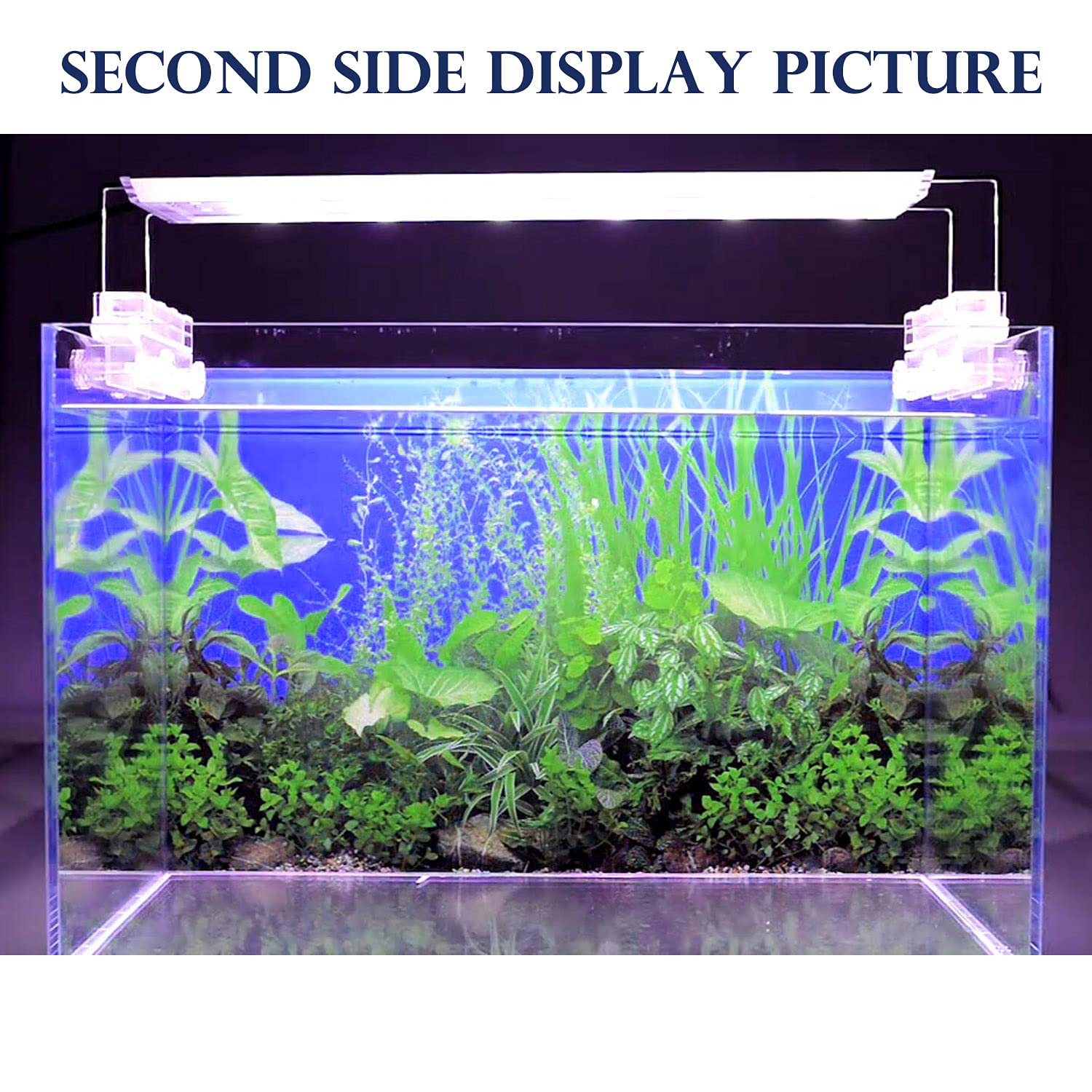 ELEBOX background hides hoses and equipment for a tidier, more immersive setup.