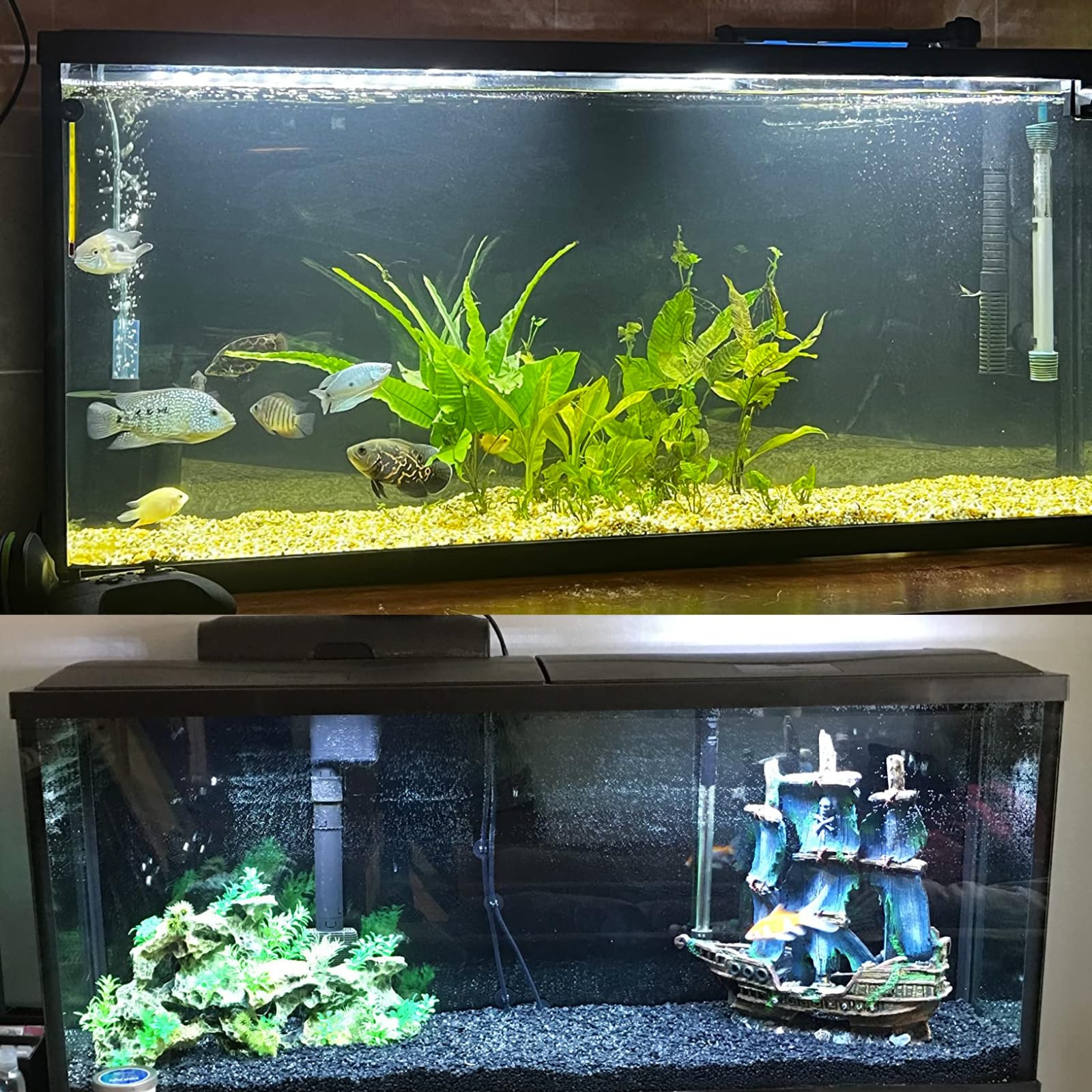 ELEBOX detailed imagery enhances realism and visual appeal in home aquariums.