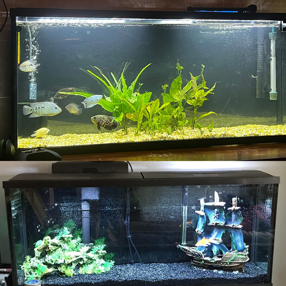 ELEBOX detailed imagery enhances realism and visual appeal in home aquariums.