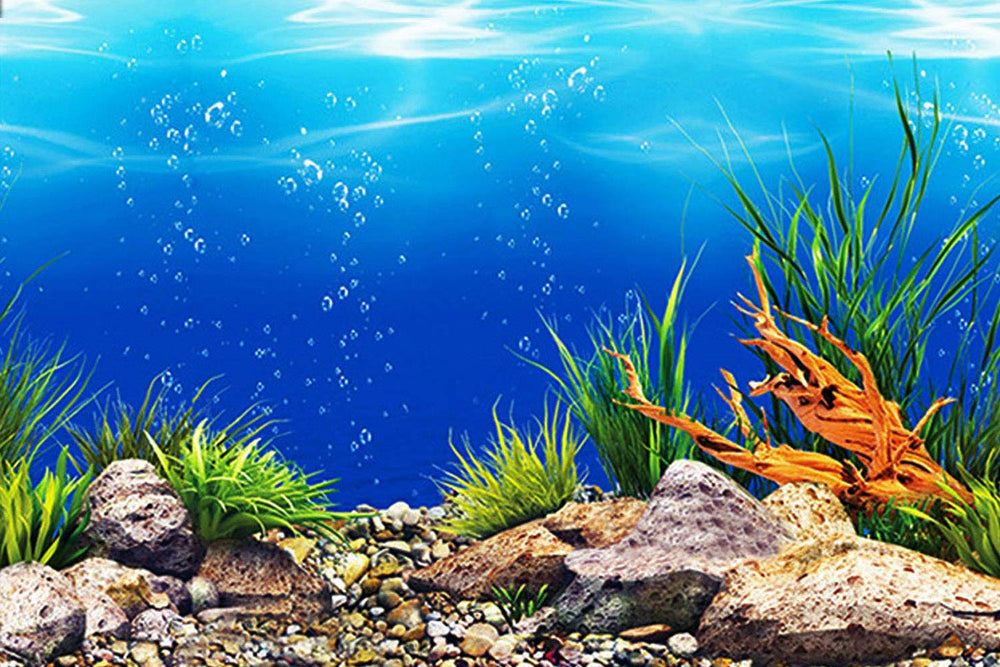 ELEBOX colorful seaweed and water plants HD scene enhances realism in tanks.