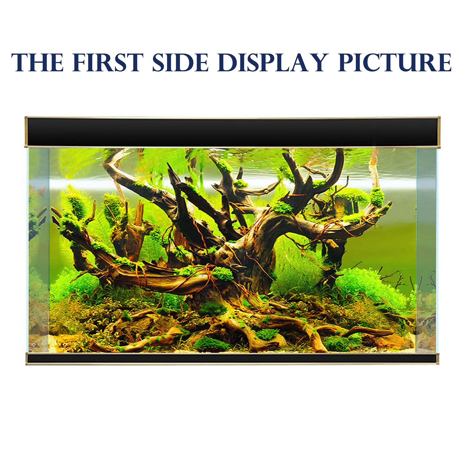 ELEBOX fish-tank-background double-sided design offers versatile tank styling options.