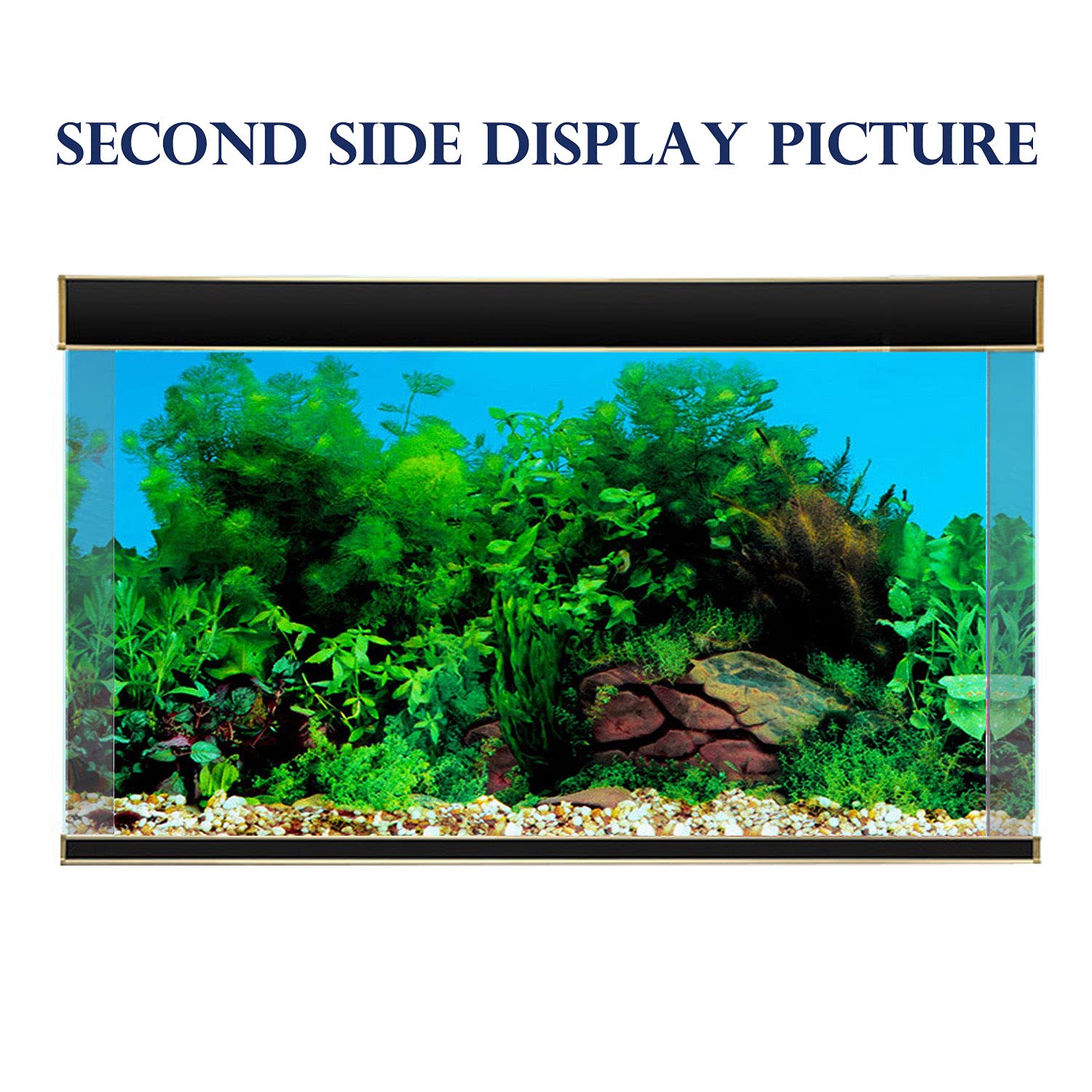 ELEBOX background hides hoses and filters for a cleaner tank appearance.