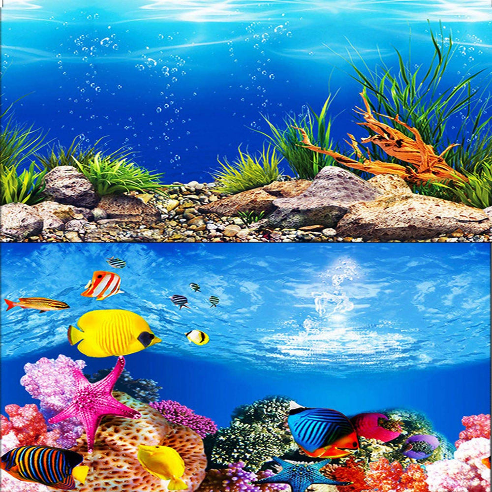 ELEBOX seaweed aquarium background front with vivid colors for lifelike tanks.