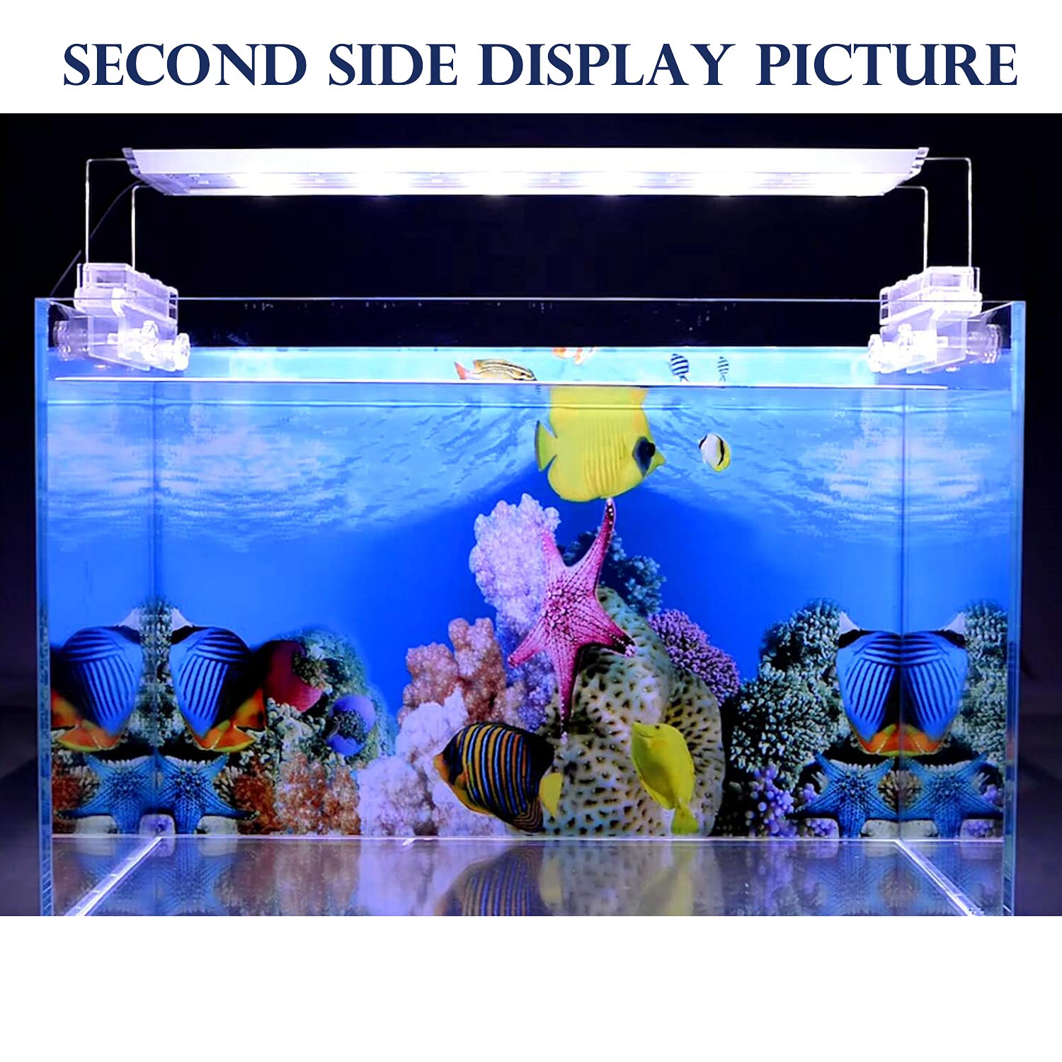 ELEBOX waterproof non-glare background helps reduce reflections in aquariums.