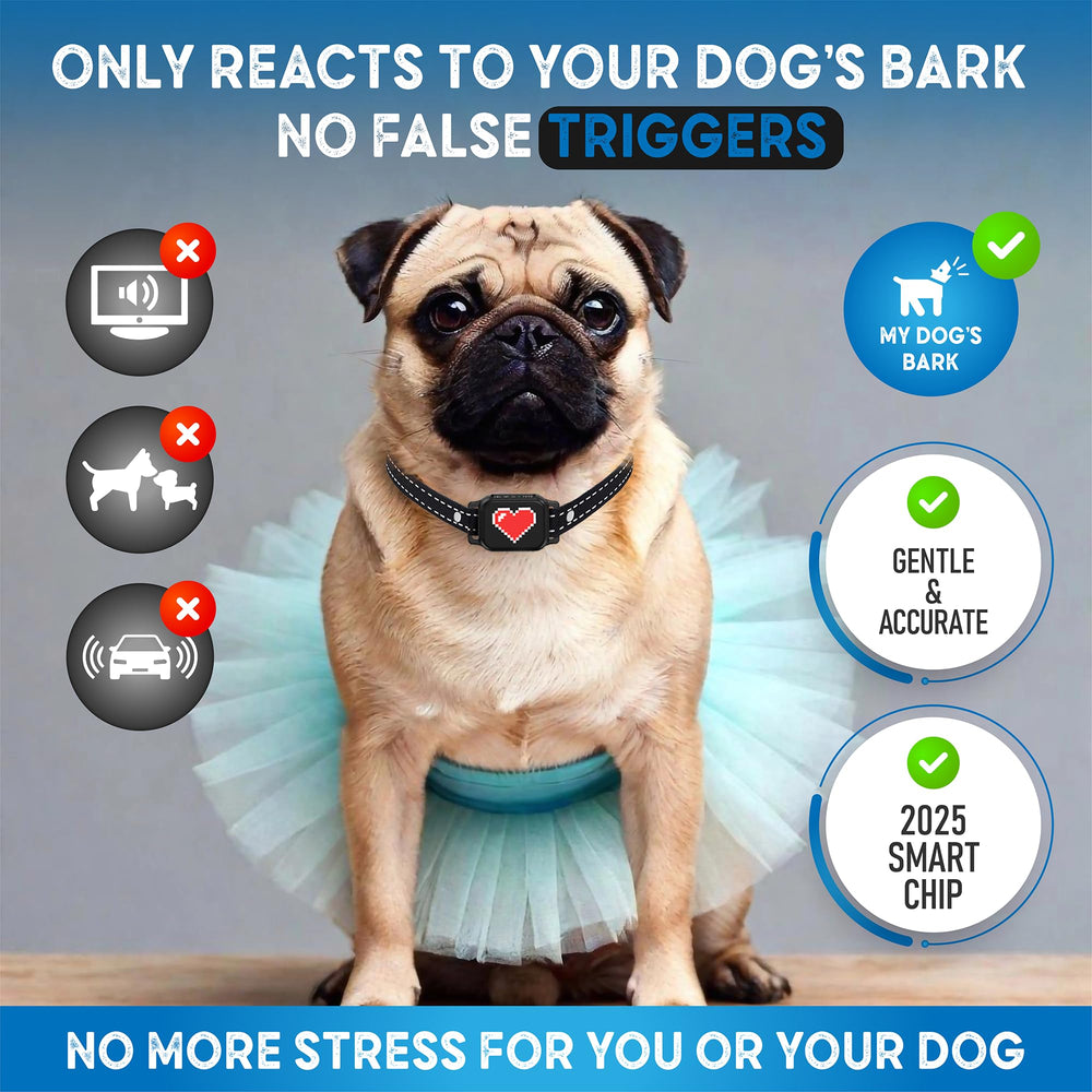 ELECANE bark collar Beep and Vibration modes demonstrated for non-shock correction.