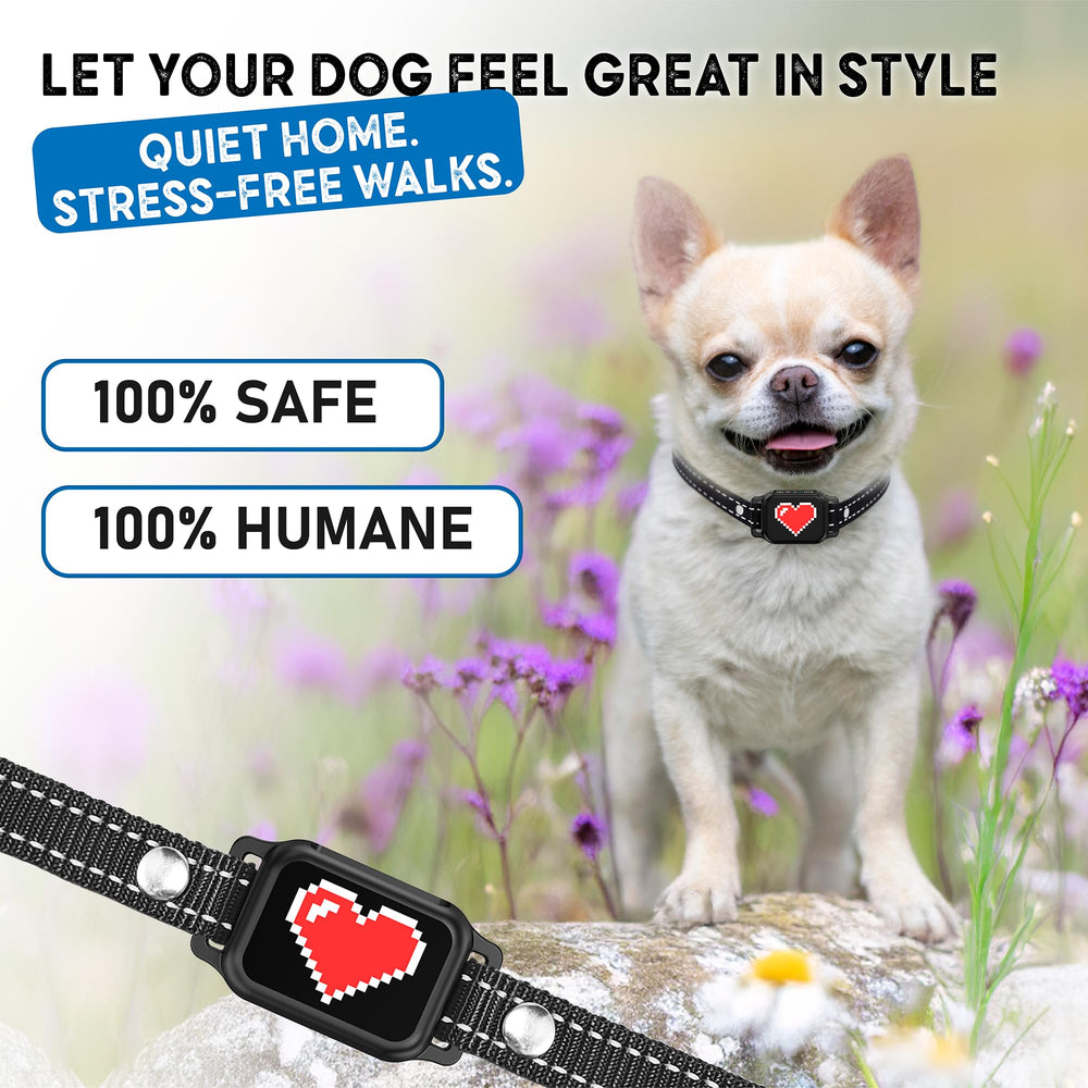 ELECANE bark collar outdoor training session for calmer barking.
