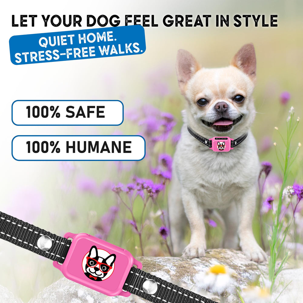 Elecane collar in daily use pink demonstrates stylish, humane training for small dogs.