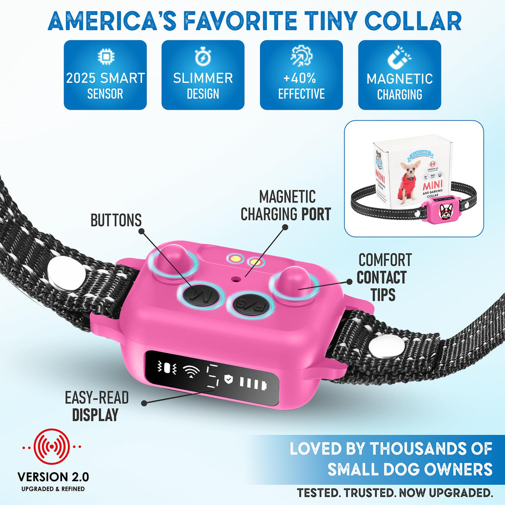 Elecane collar lightweight design emphasizes comfort during long wear sessions.