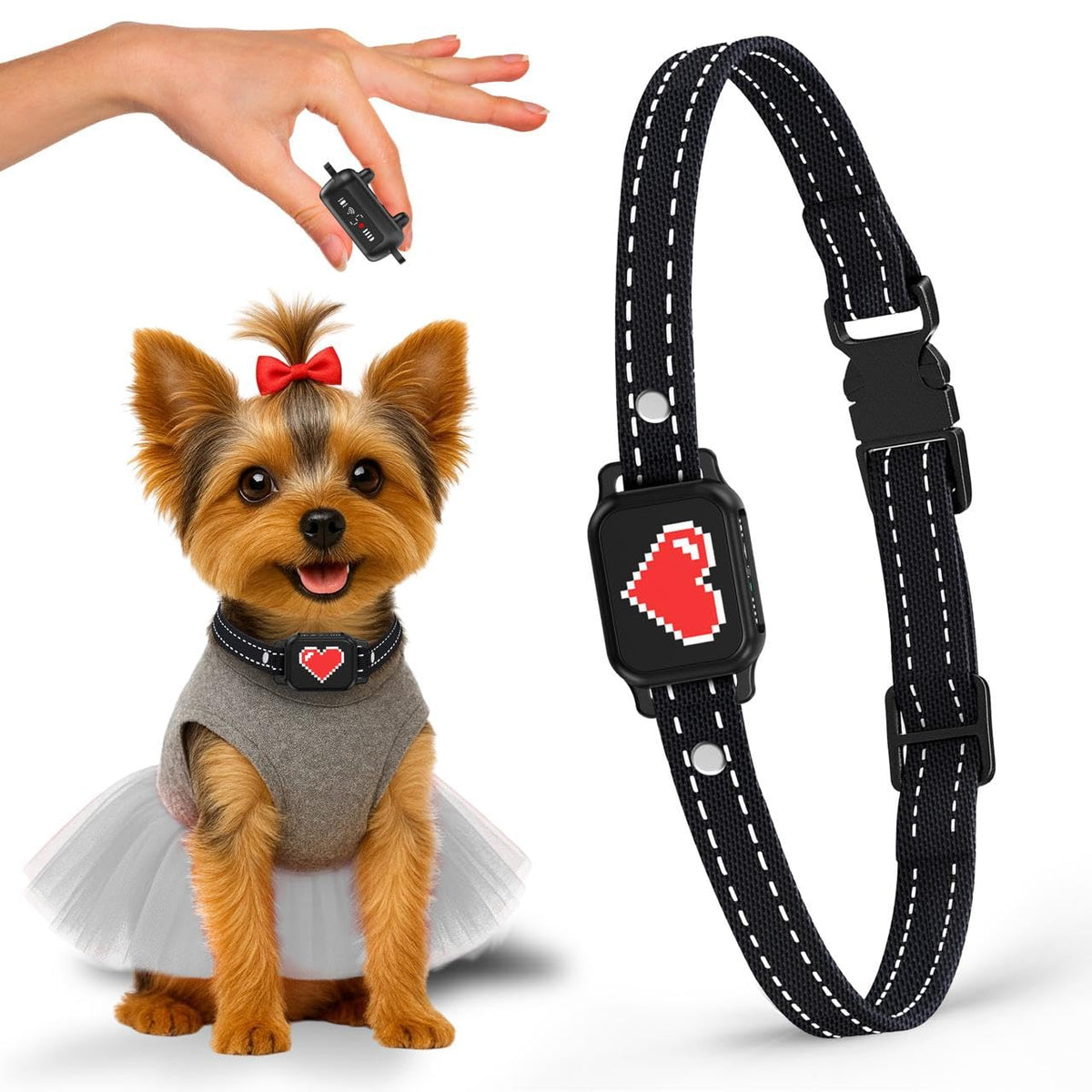 ELECANE bark collar small-dog fit on adjustable strap for daily gentle training.