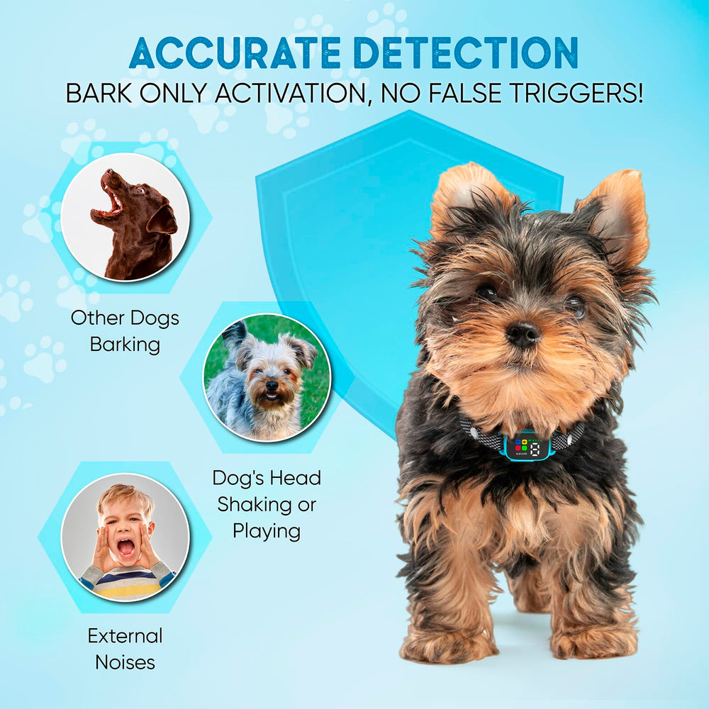 ELECANE Tiny Bark Collar Blue IP67 waterproof design supports outdoor adventures.