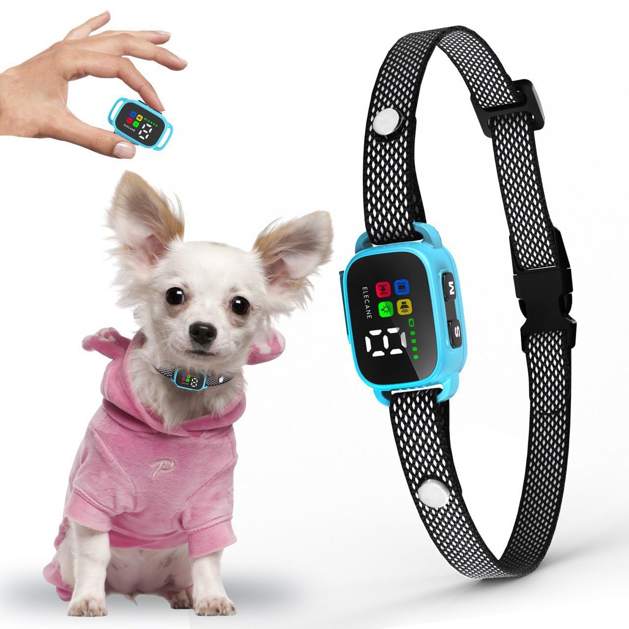 ELECANE Tiny Bark Collar Blue on dog provides gentle, non-shock training for small breeds.