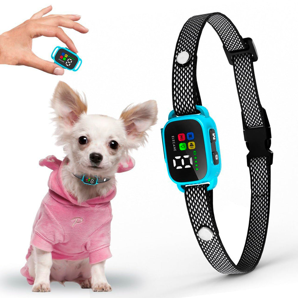 ELECANE Tiny Bark Collar Blue on dog provides gentle, non-shock training for small breeds.