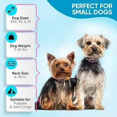 ELECANE Tiny Bark Collar pink charging-port—rechargeable design for daily use
