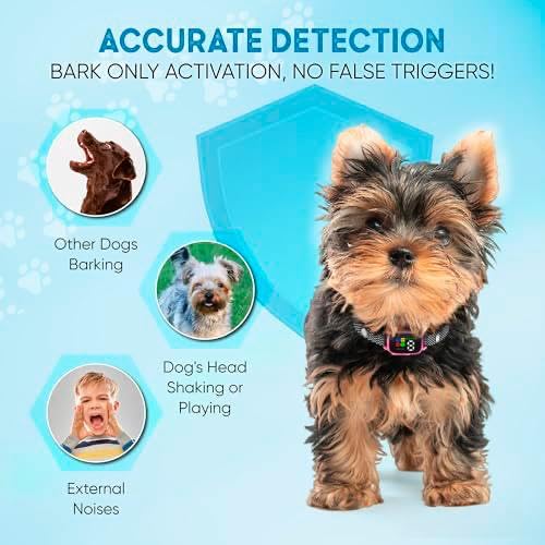 ELECANE Tiny Bark Collar pink packaging—ready-to-use with humane training features
