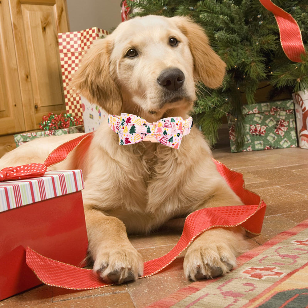Elegant Little Tail care tips for easy cleaning and maintenance